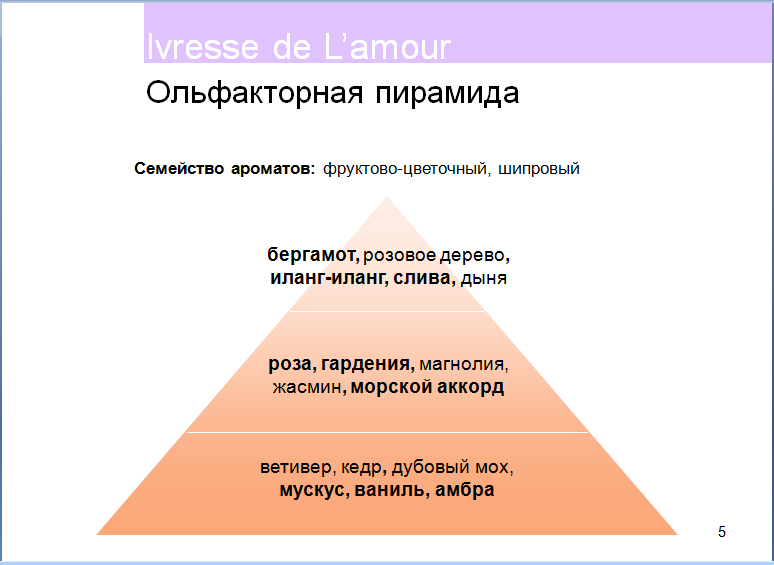 Пирамида аромата. Ольфактивная пирамида ароматов. Пирамида запахов. Ольфакторный это. Ольфакторная пирамида мужских ароматов.